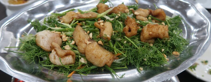 Day 9: Ha Noi